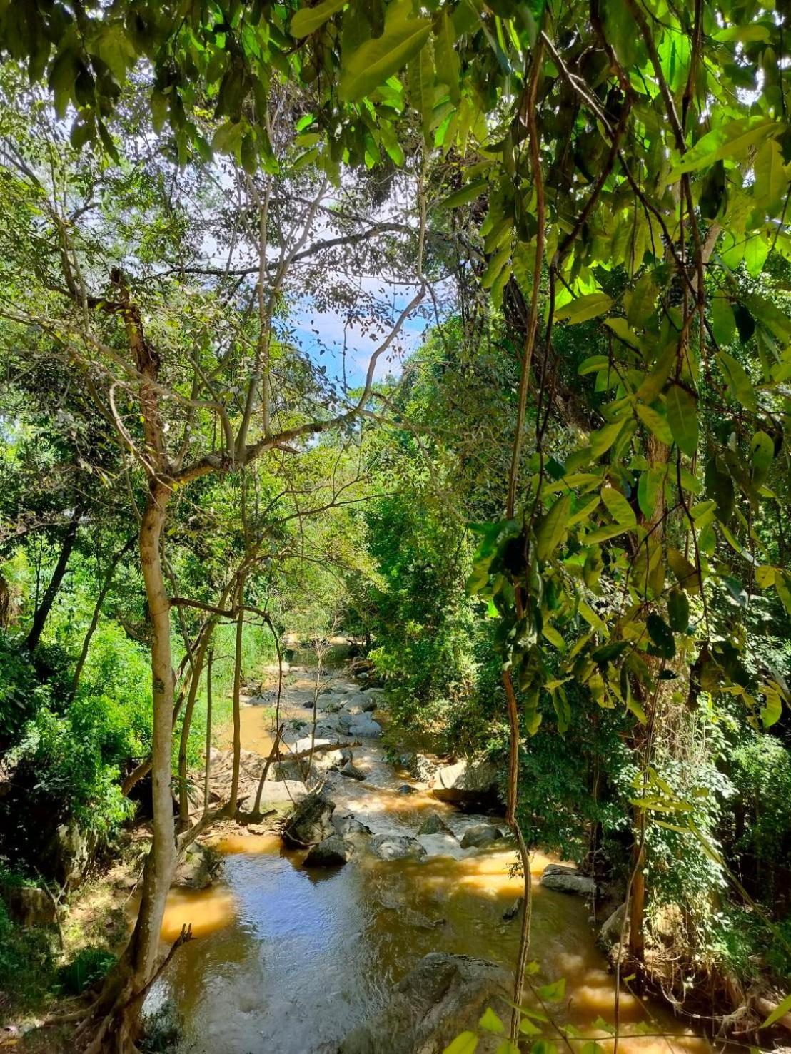מאה רים Maesa Greenery Hill Sha מראה חיצוני תמונה